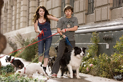 Hotel for Dogs Pics 1 -  ����� ���� 1 ����� ��� ���� ������ ...