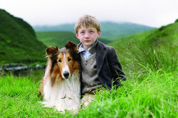 Loading Lassie Pics 1 -  ����� ���� 1 ����� ���� ...