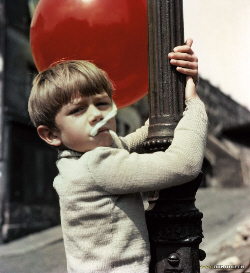 Loading Le Ballon rouge & Crin-Blanc Pics 1 -  ����� ���� 1 ����� ����� ����� ����� ���� ...
