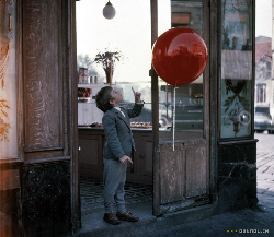 Loading Le Ballon rouge & Crin-Blanc Pics 2 -  ����� ���� 2 ����� ����� ����� ����� ���� ...