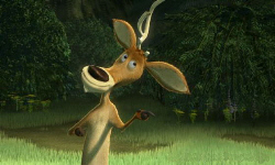 Loading Open Season Pics 2 -  ����� ���� 2 ����� ����� �� ������ ...