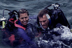 Loading Open Water Pics 1 -  תמונה מספר 1 מהסרט ים של פחד ...