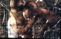 Loading Saw Pics 3 -  ����� ���� 3 ����� ����� ...