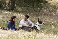 Loading Seven Pounds Pics 1 -  ����� ���� 1 ����� ��� ����� ...