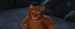 Loading Shrek Forever After Pics 4 -  ����� ���� 4 ����� ��� ���� (��� ����) ...