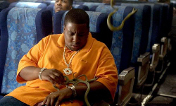 Loading Snakes on a Plane Pics 3 -  ����� ���� 3 ����� ����� �� ����� ...