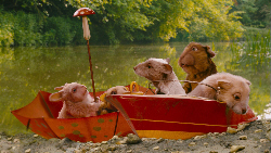 Loading Tales of the River Bank Pics 1 -  ����� ���� 1 ����� ������ ��� ���� (����� ������) ...