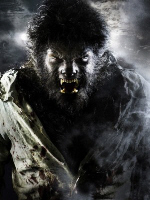 The WolfMan