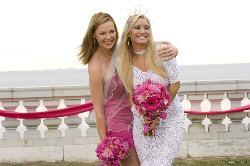 Loading 27 Dresses Pics 3 -  ����� ���� 3 ����� ����� ���� ����� ...