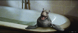 Loading The Water Horse: Legend of the Deep Pics 3 -  ����� ���� 3 ����� ��� ���� (�) ...