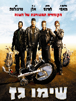Wild Hogs