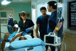 Loading Code Black Pics 1 -  ����� ���� 1 ������ ��� ���� ...