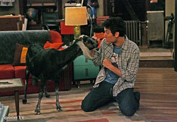 Loading How I Met Your Mother 4 Pics 1 -  ����� ���� 1 ������ ��� ����� �� ��� ���� 4 ...