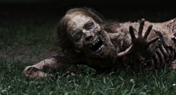 Loading The Walking Dead Pics 4 -  ����� ���� 4 ������ ����� ������� ...