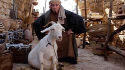 Loading the Jews are coming Pics 3 -  ����� ���� 3 ������ ������� ���� ...